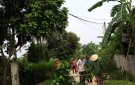 Bản tin tổng dọn vệ sinh ở các thôn trên địa bàn xã Thọ Sơn 